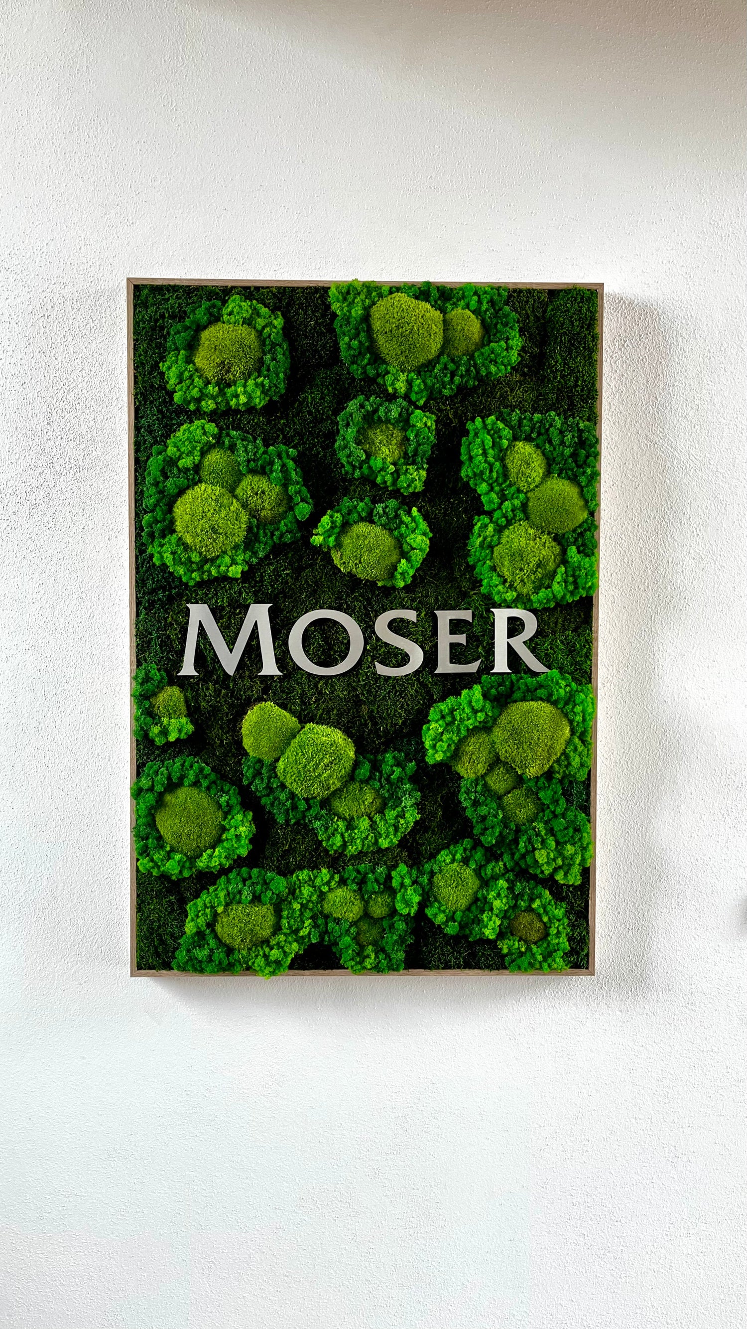 Moser Trachten