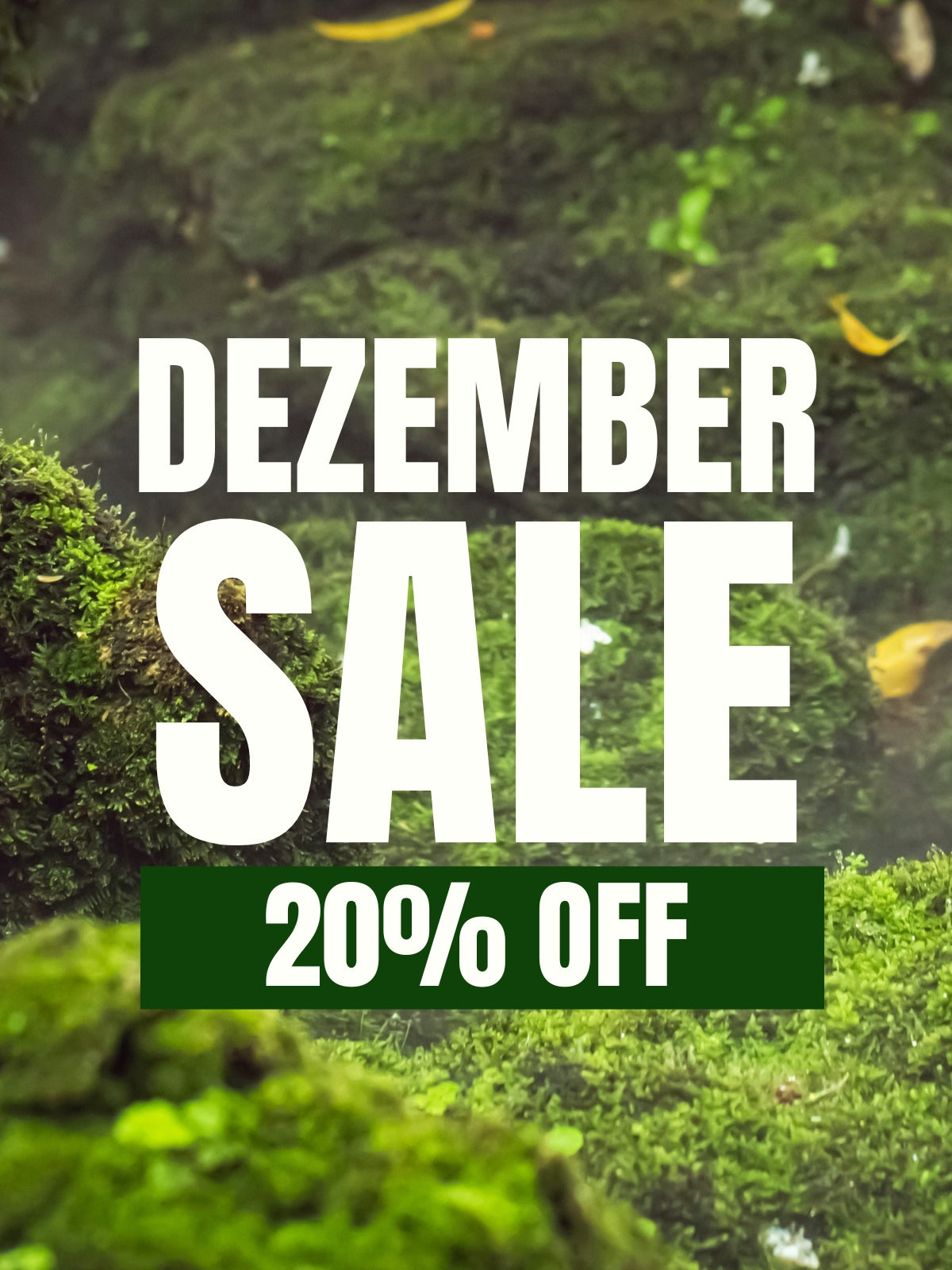 Moosbilder & Pflanzenbilder im Sale