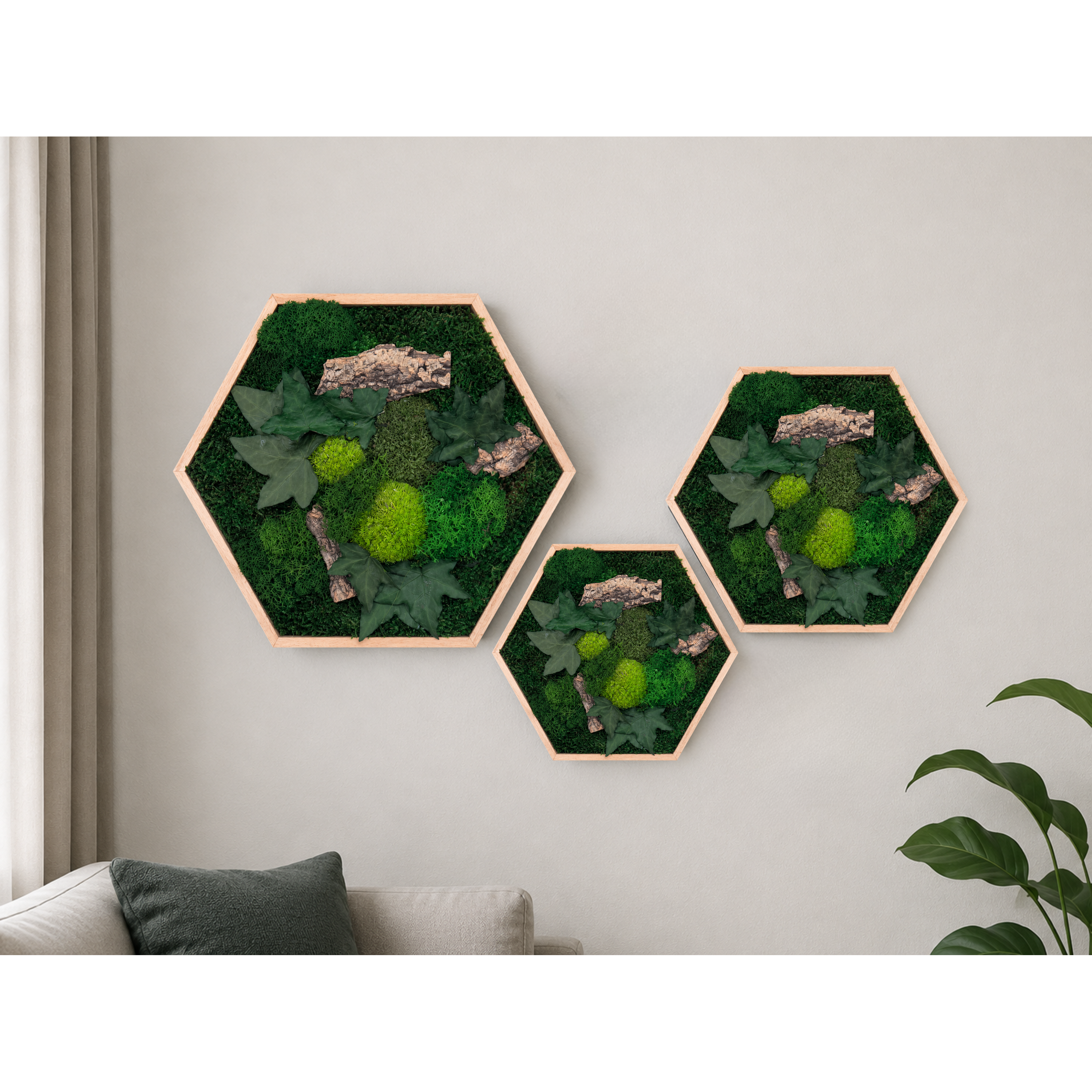 Moosbild Hexagon Moosdream