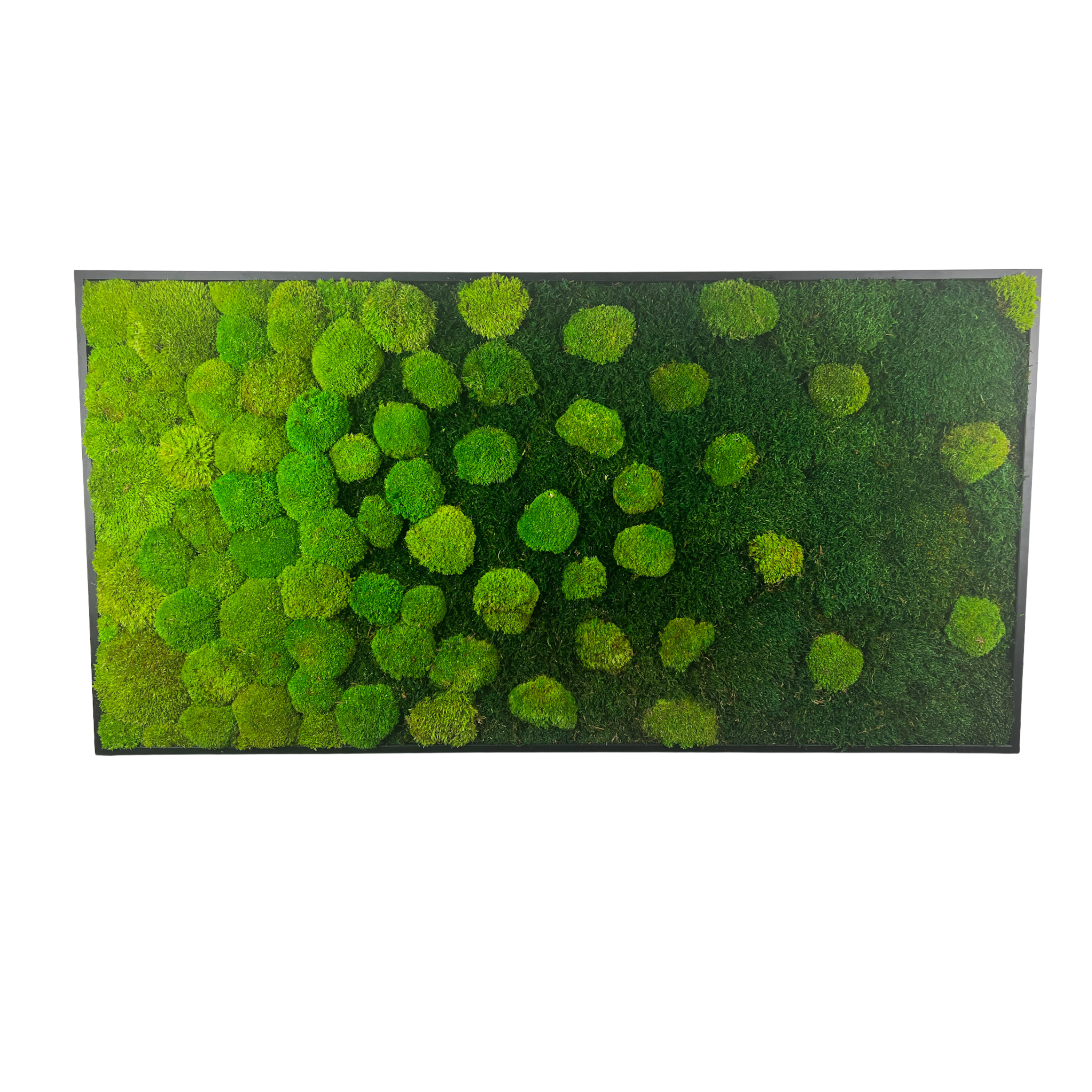 Ballenverlauf horizontal