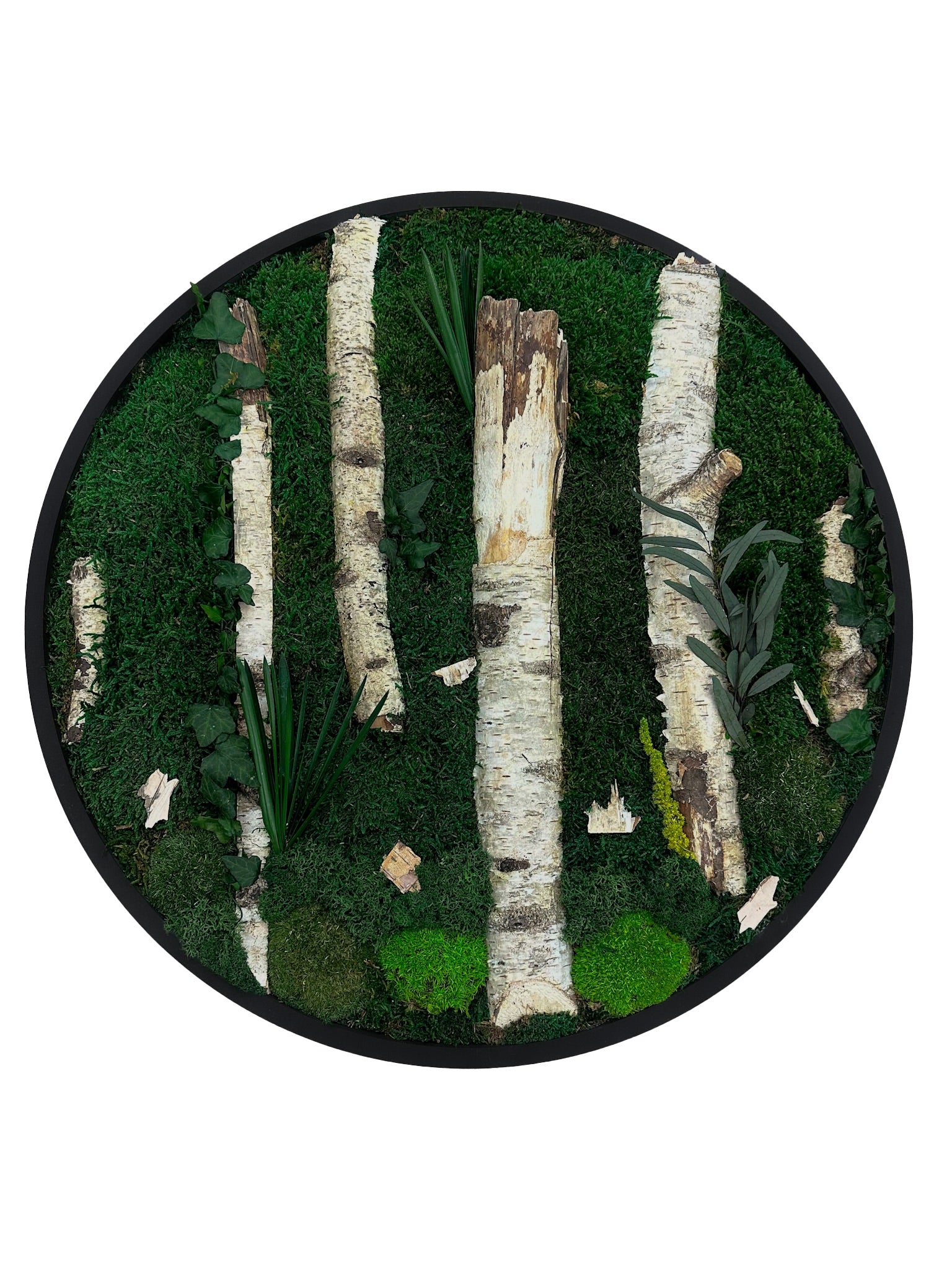 Mooskreis Birkengeflüster mit Rahmen
