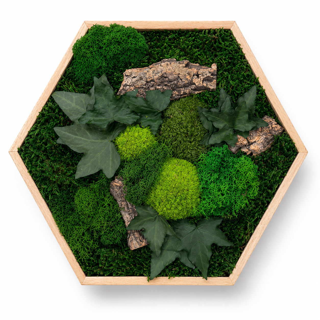 Moosbild Hexagon Moosdream