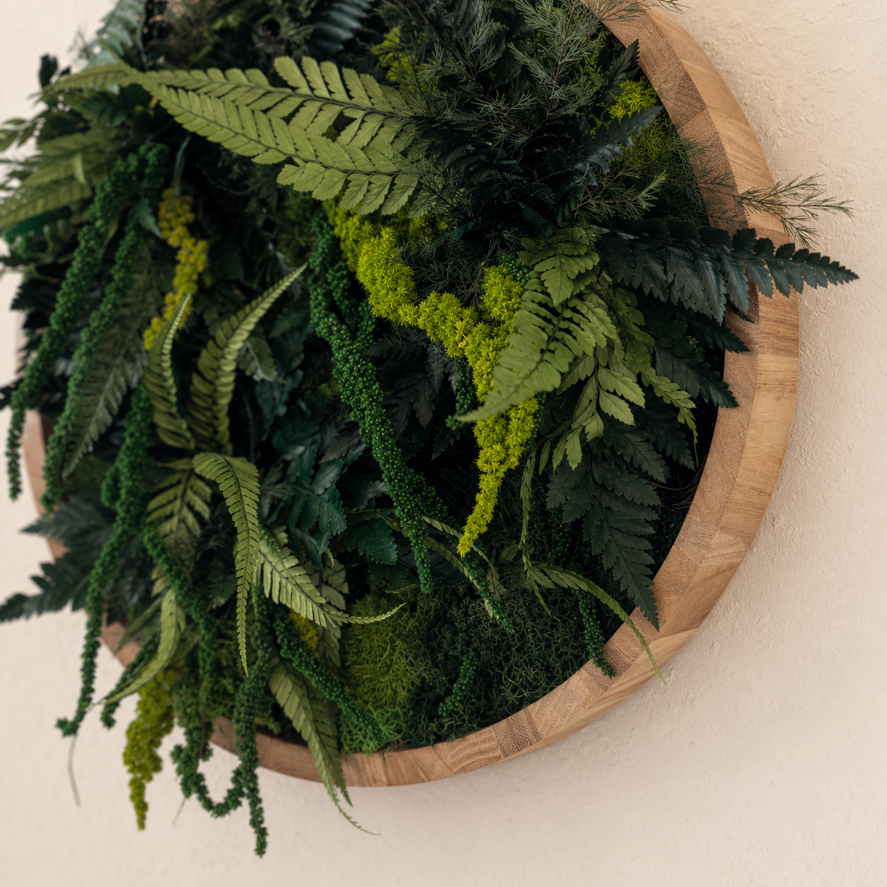 Mooskreis Botanical Circle für natürliche Wandgestaltung