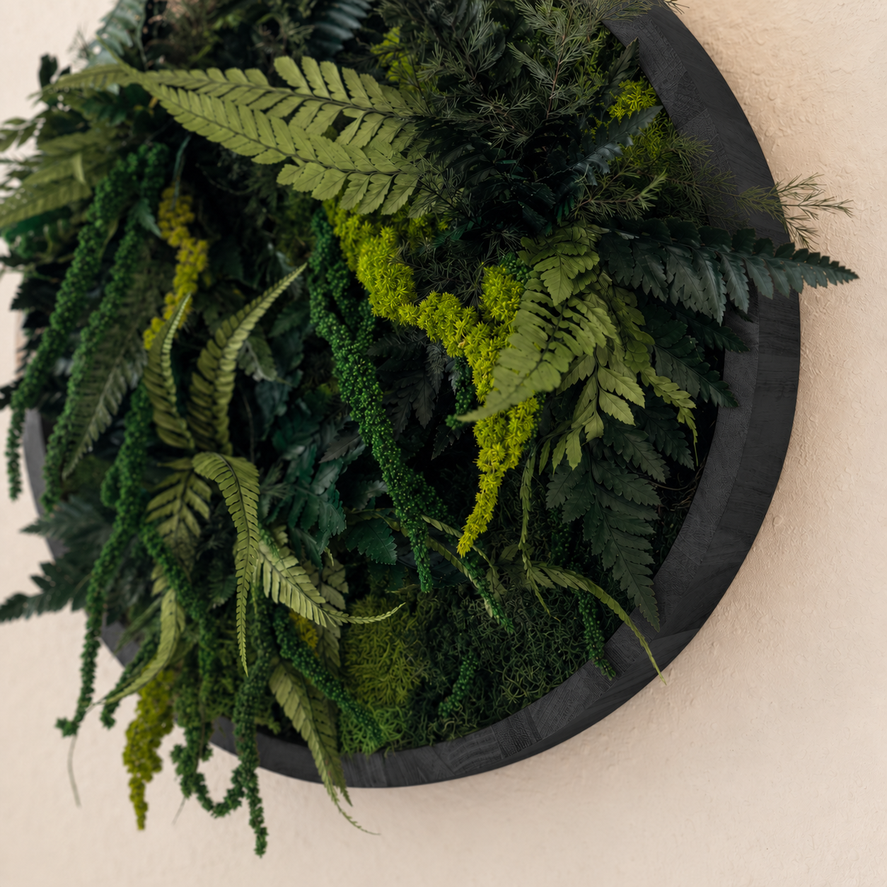 Mooskreis Botanical Circle für natürliche Wandgestaltung
