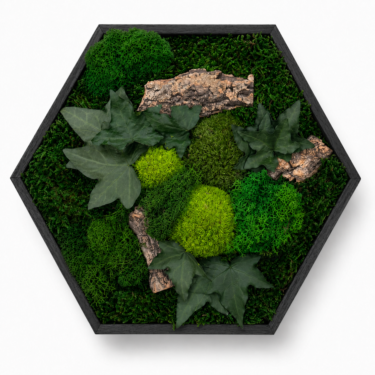 Moosbild Hexagon Moosdream