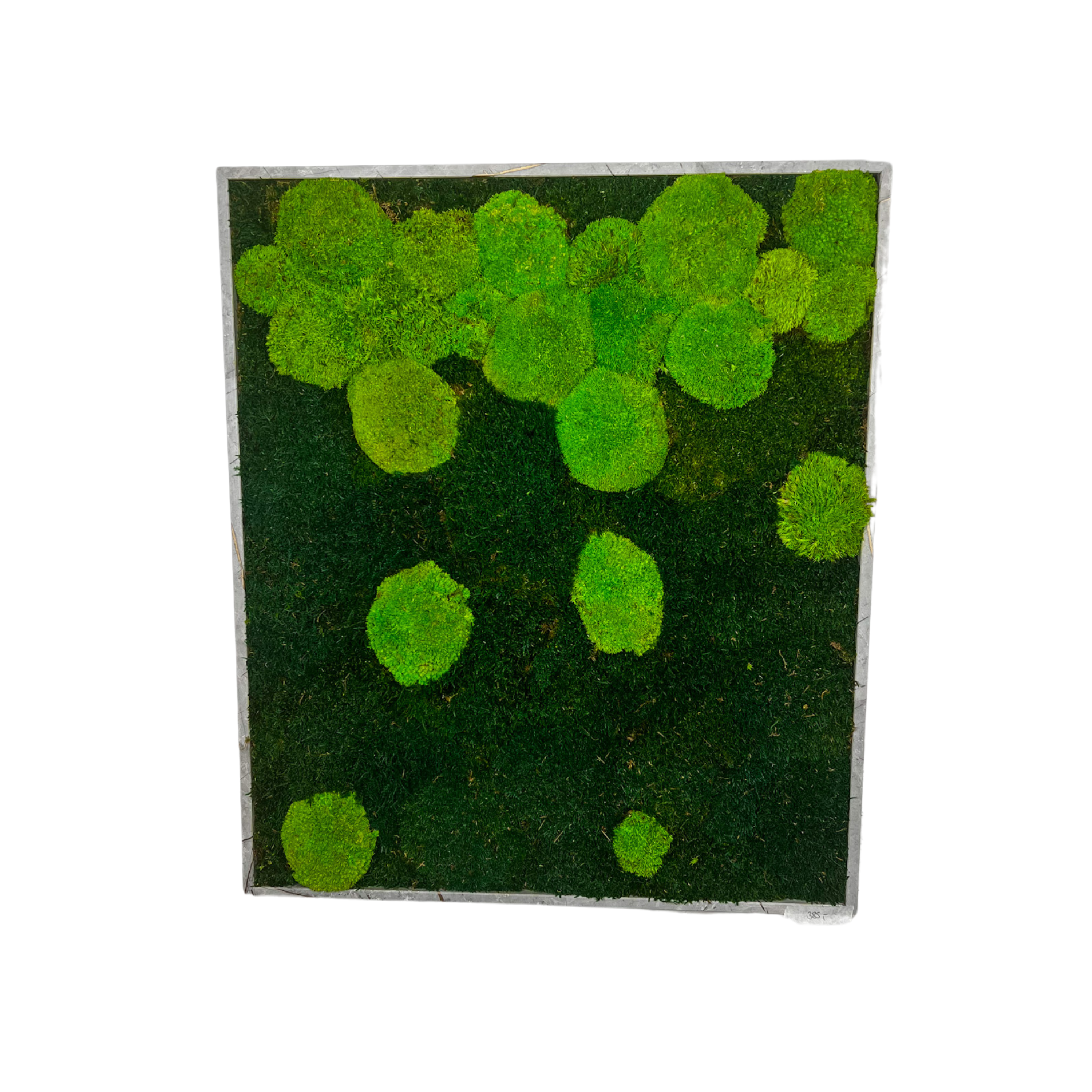 Ballenverlauf vertikal