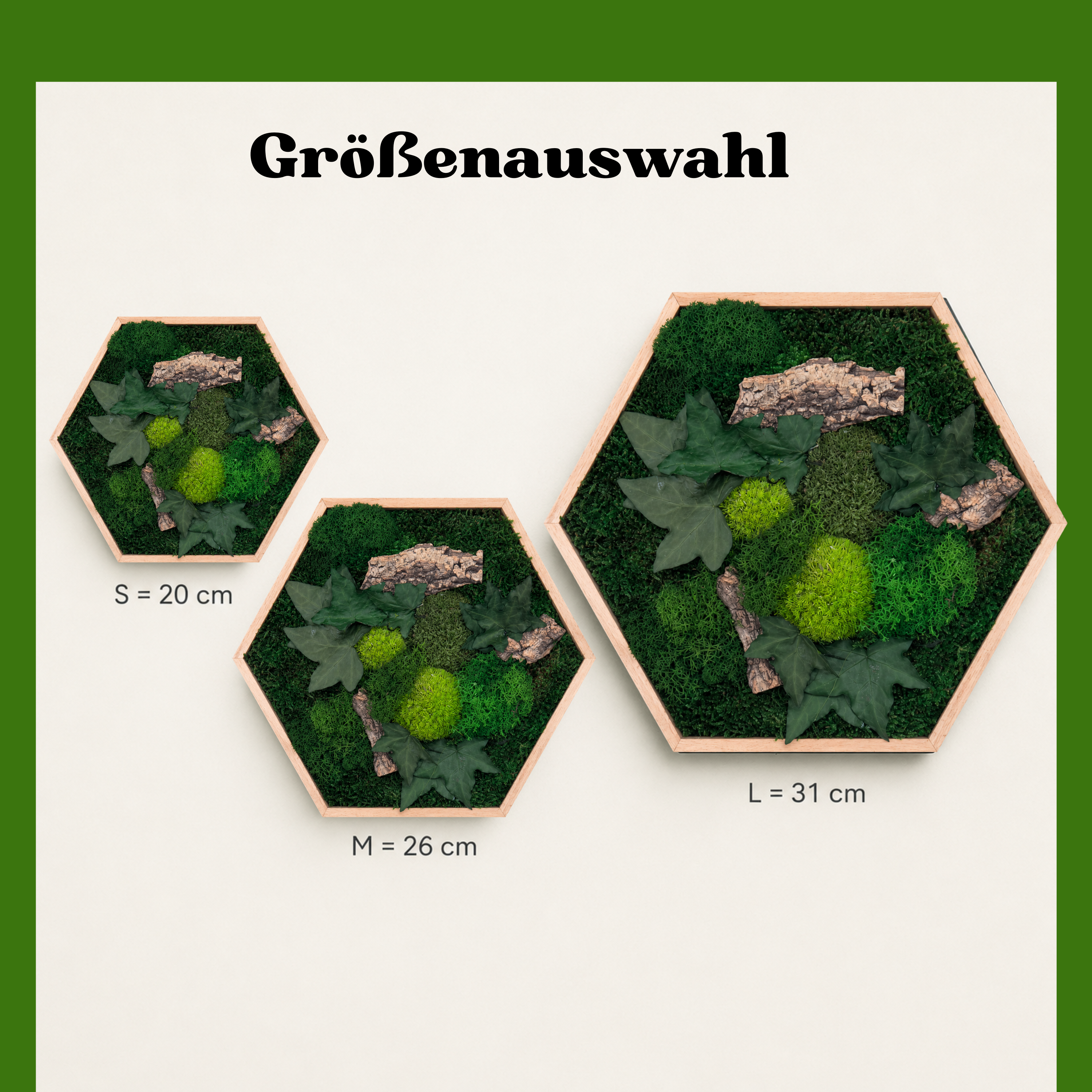 Moosbild Hexagon Moosdream