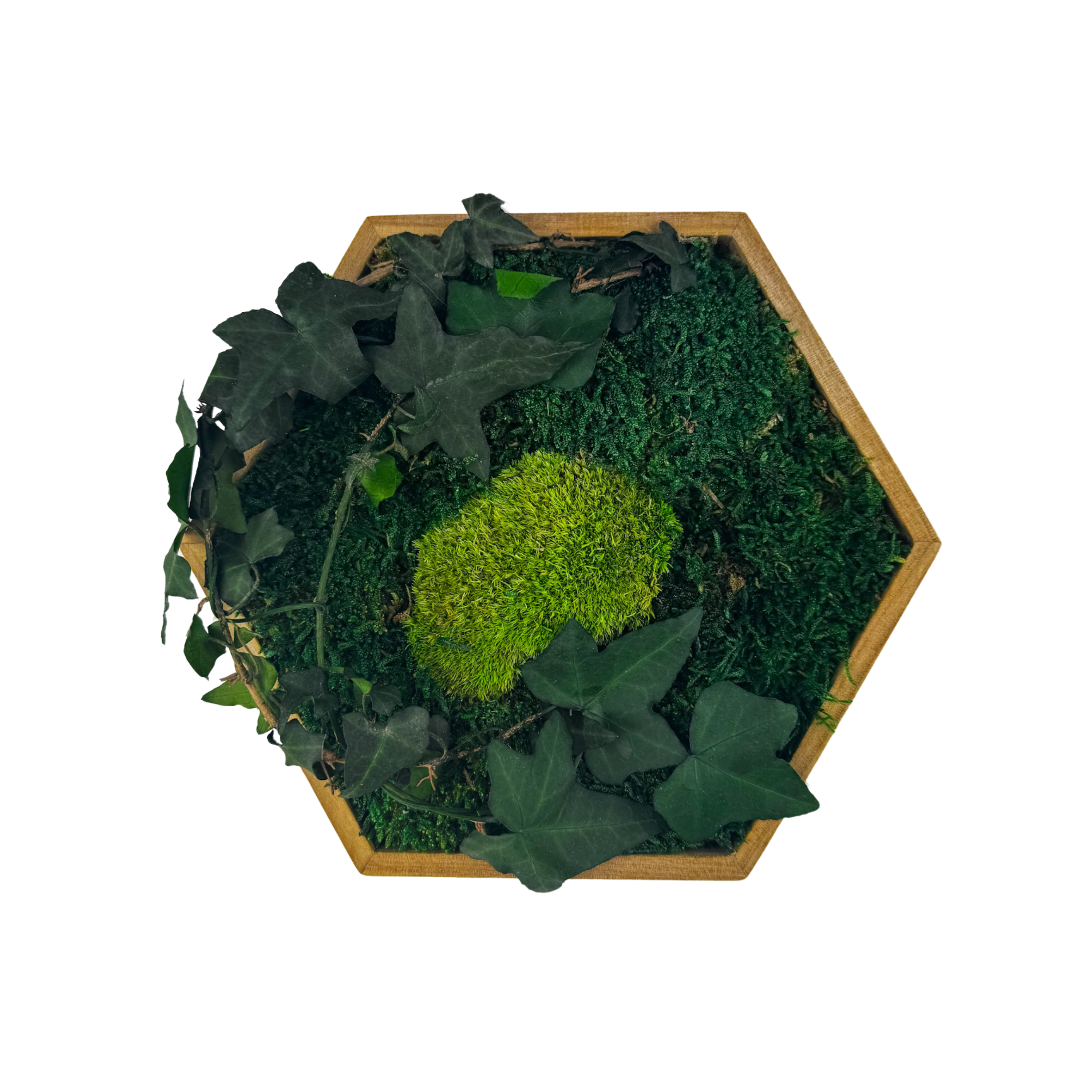 Hexagon Efeutraum