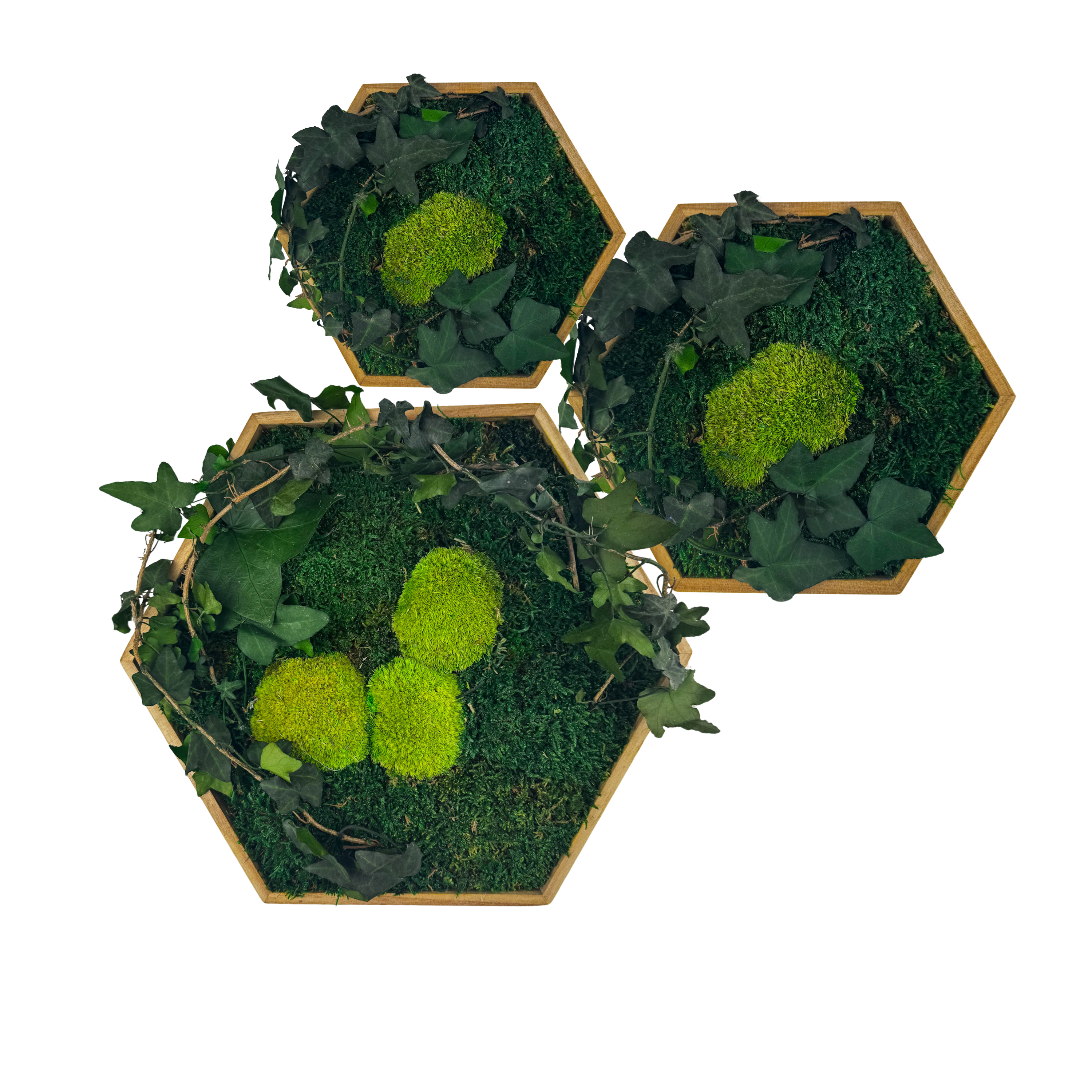 Hexagon Efeutraum
