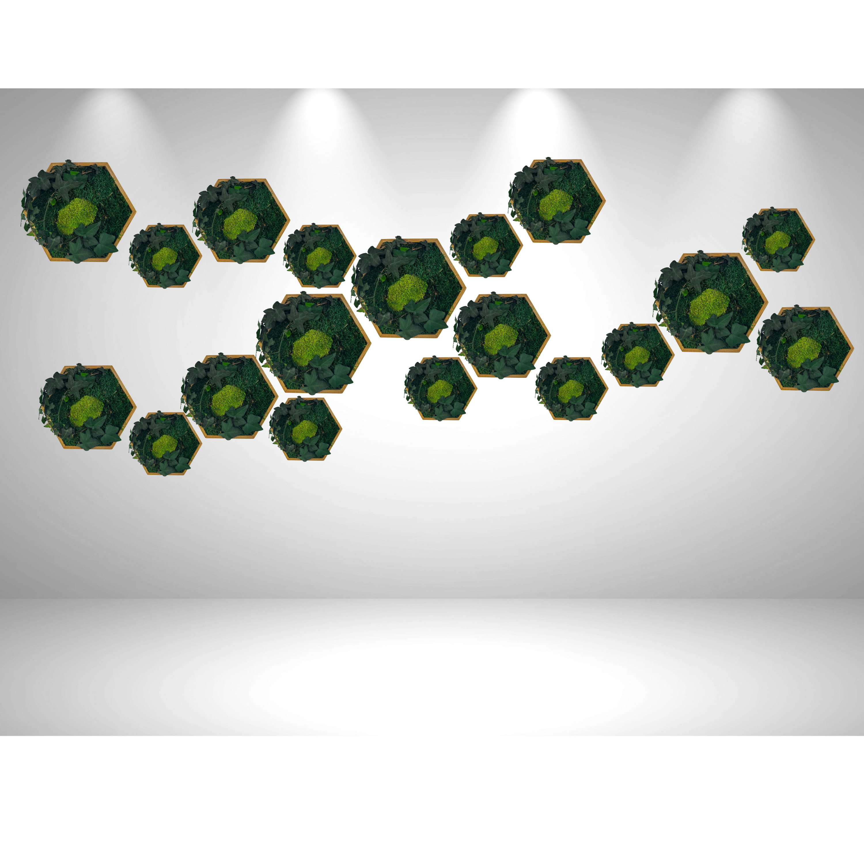 Hexagon Efeutraum