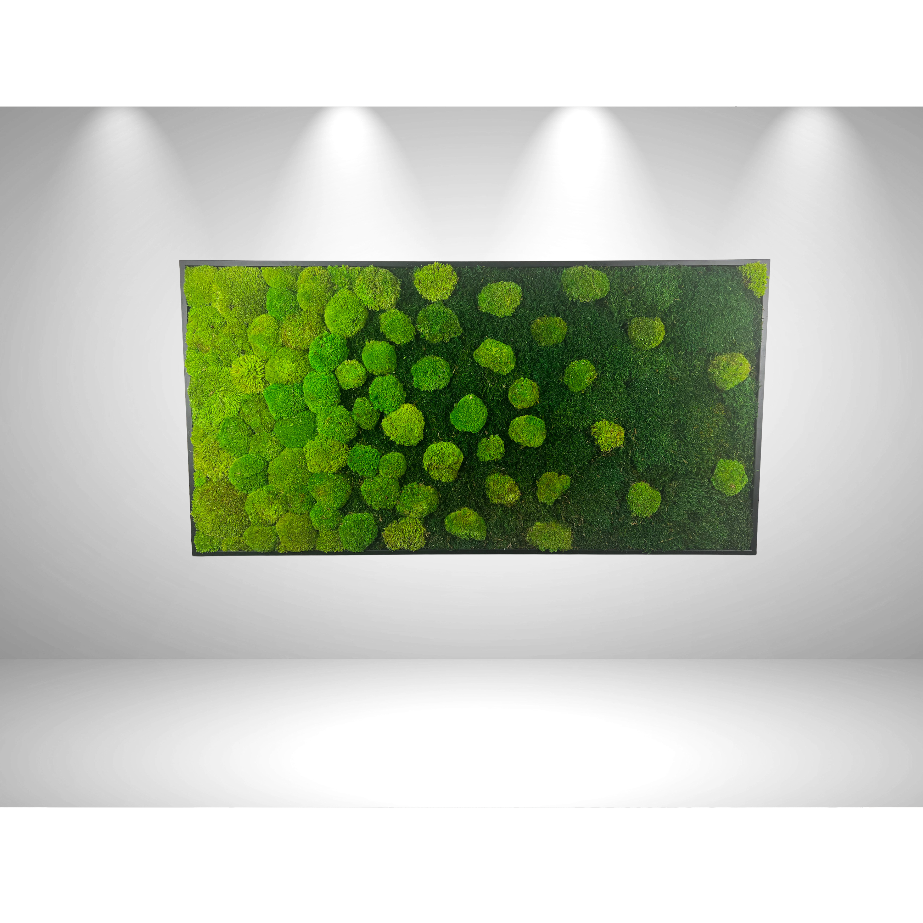 Ballenverlauf horizontal