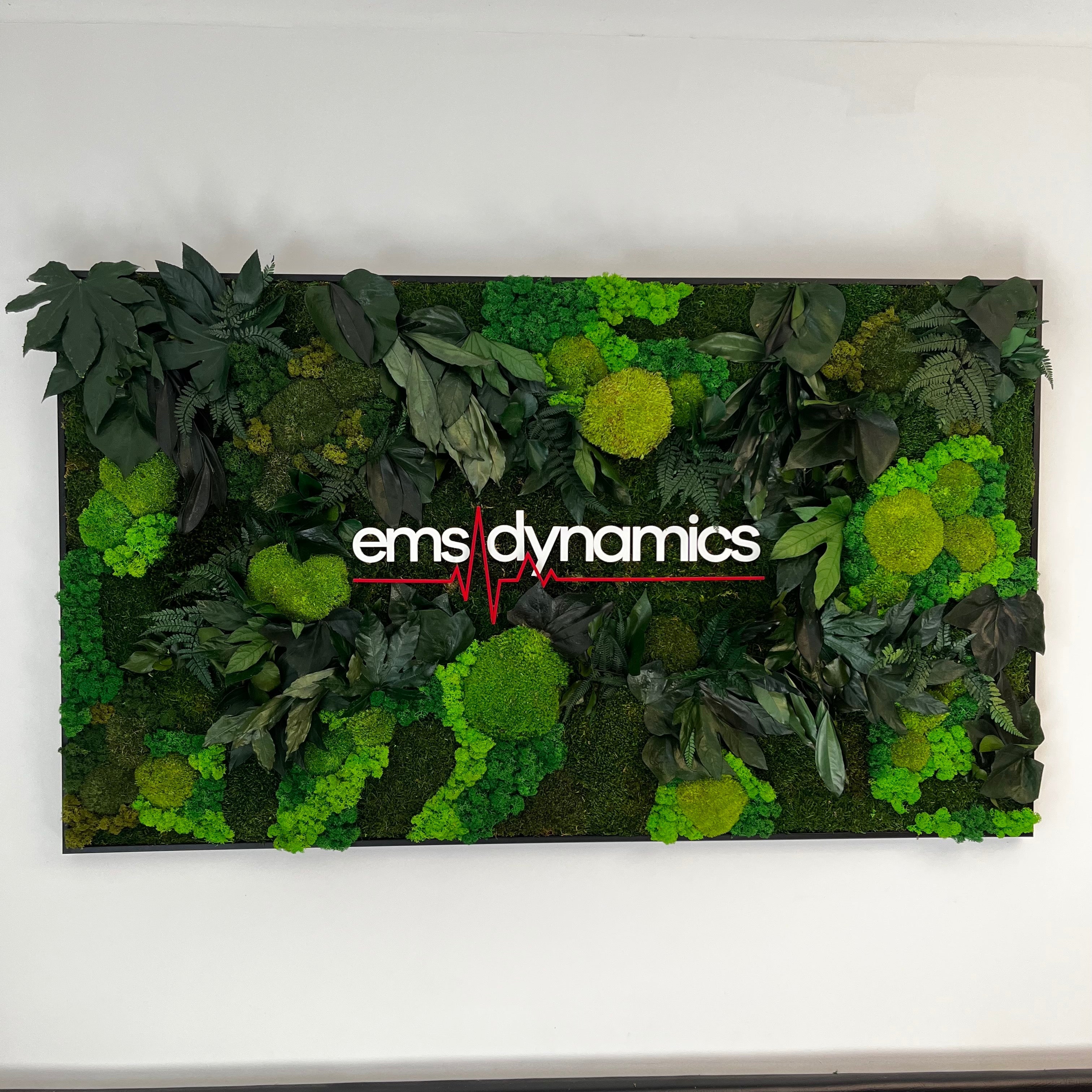 EMS Dynamics