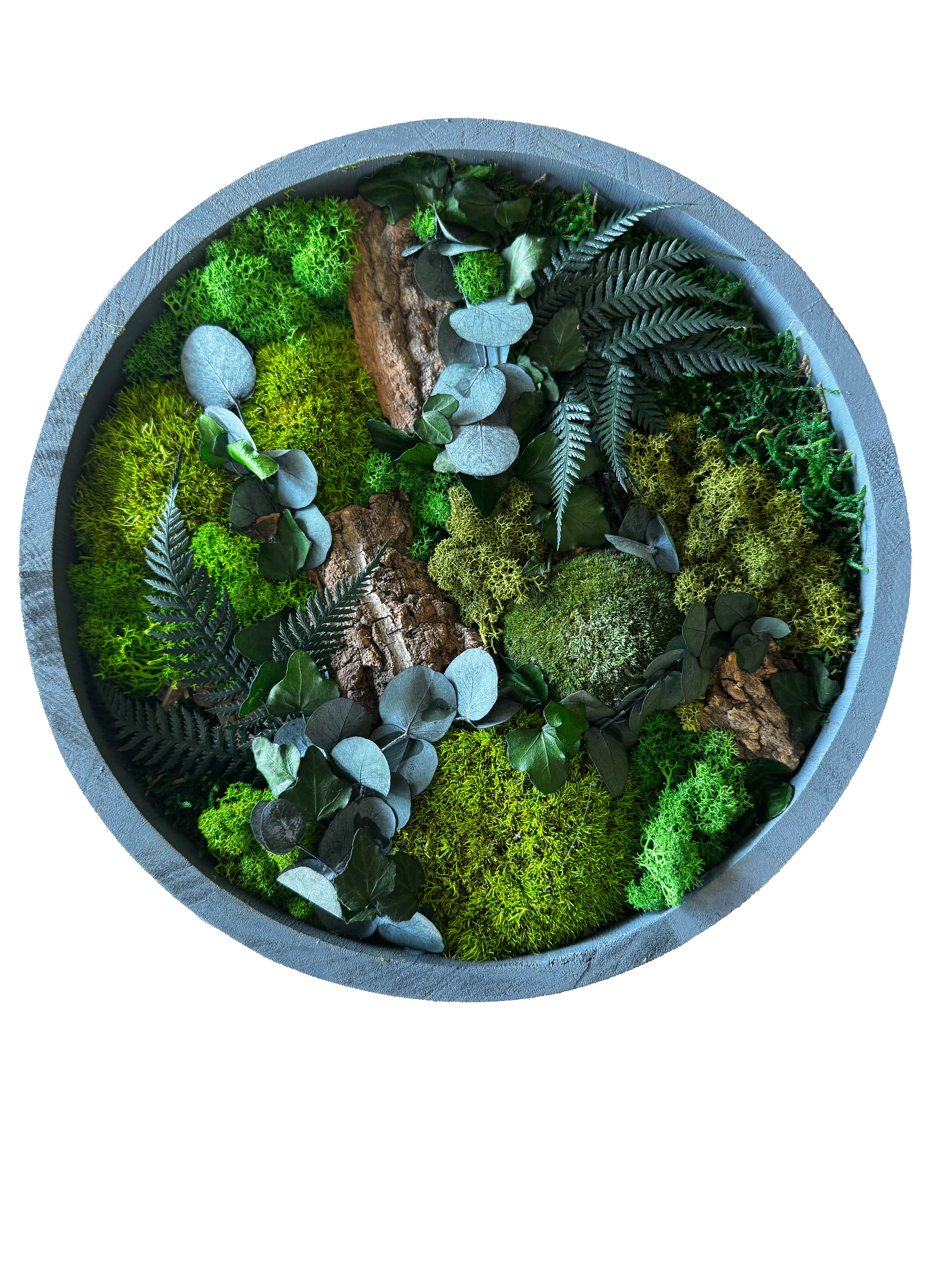 Mooskreis Dschungel mit Rahmen