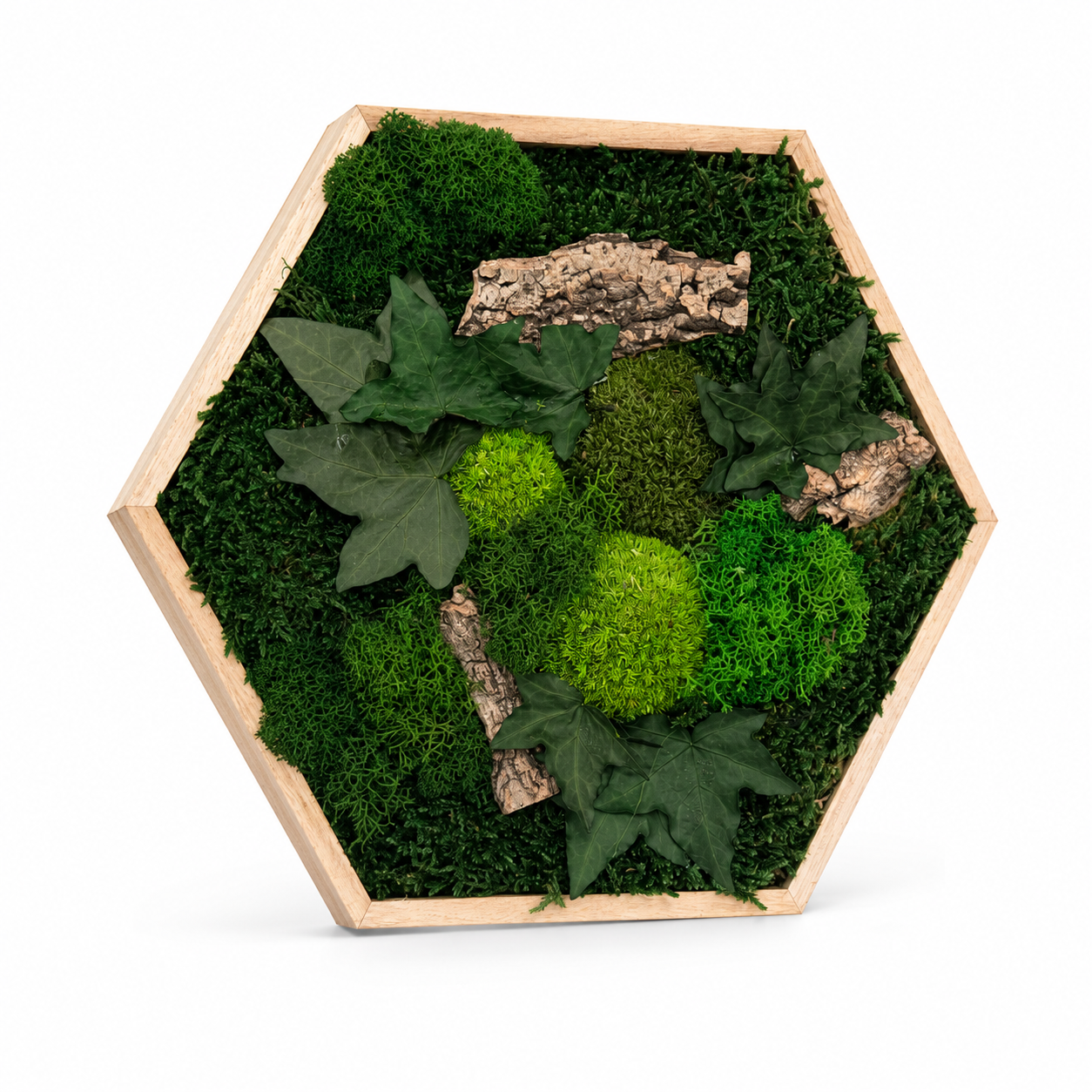 Moosbild Hexagon Moosdream