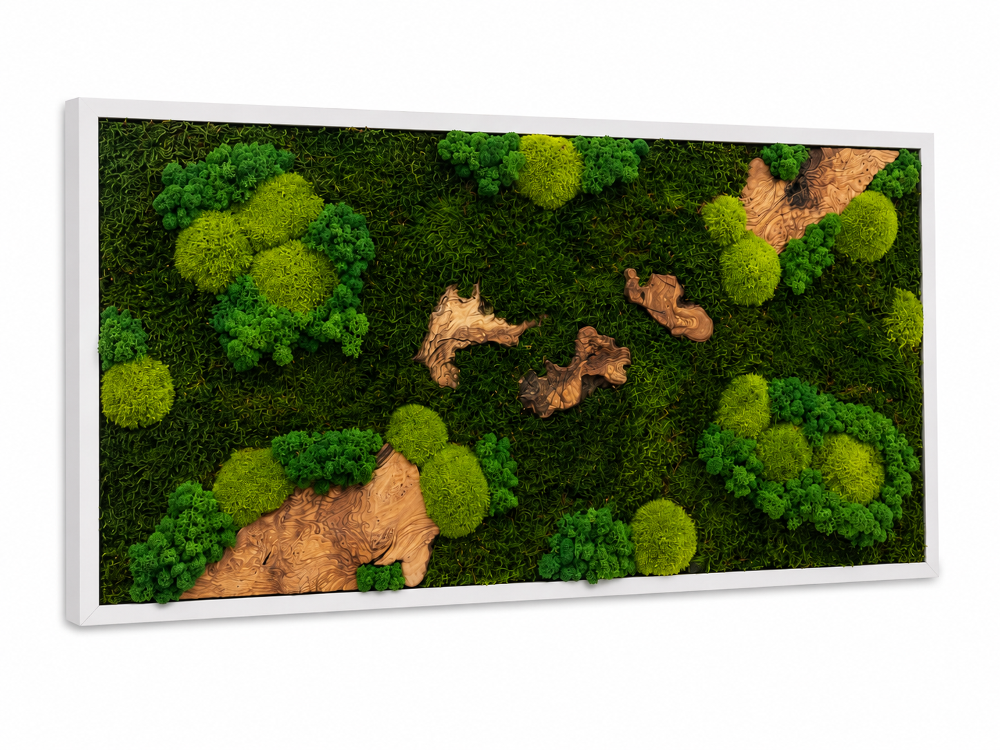 Moosbild - Olivenholz - Flachmoos - Kugelmoos - Islandmoos und Holz Elemente