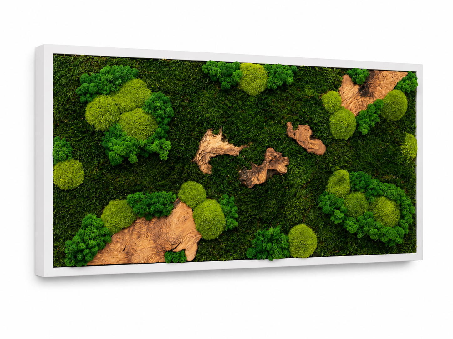 Moosbild - Olivenholz - Flachmoos - Kugelmoos - Islandmoos und Holz Elemente