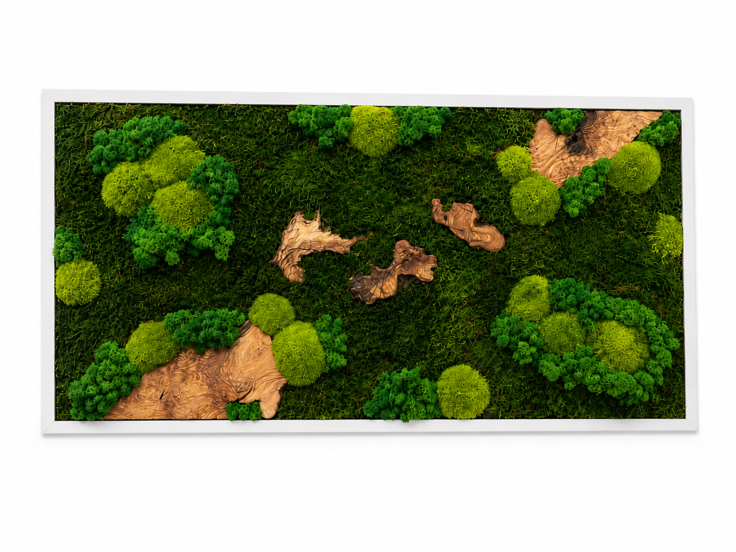 Moosbild - Olivenholz - Flachmoos - Kugelmoos - Islandmoos und Holz Elemente