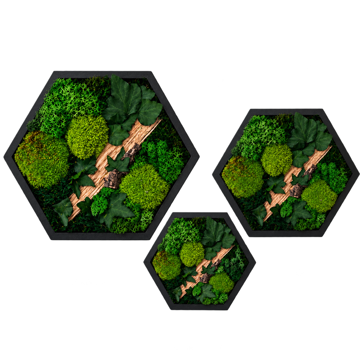Moosbild Waben Set 3-teilig – Hexagon Wandbild aus Echtmoos mit Efeu & Holz