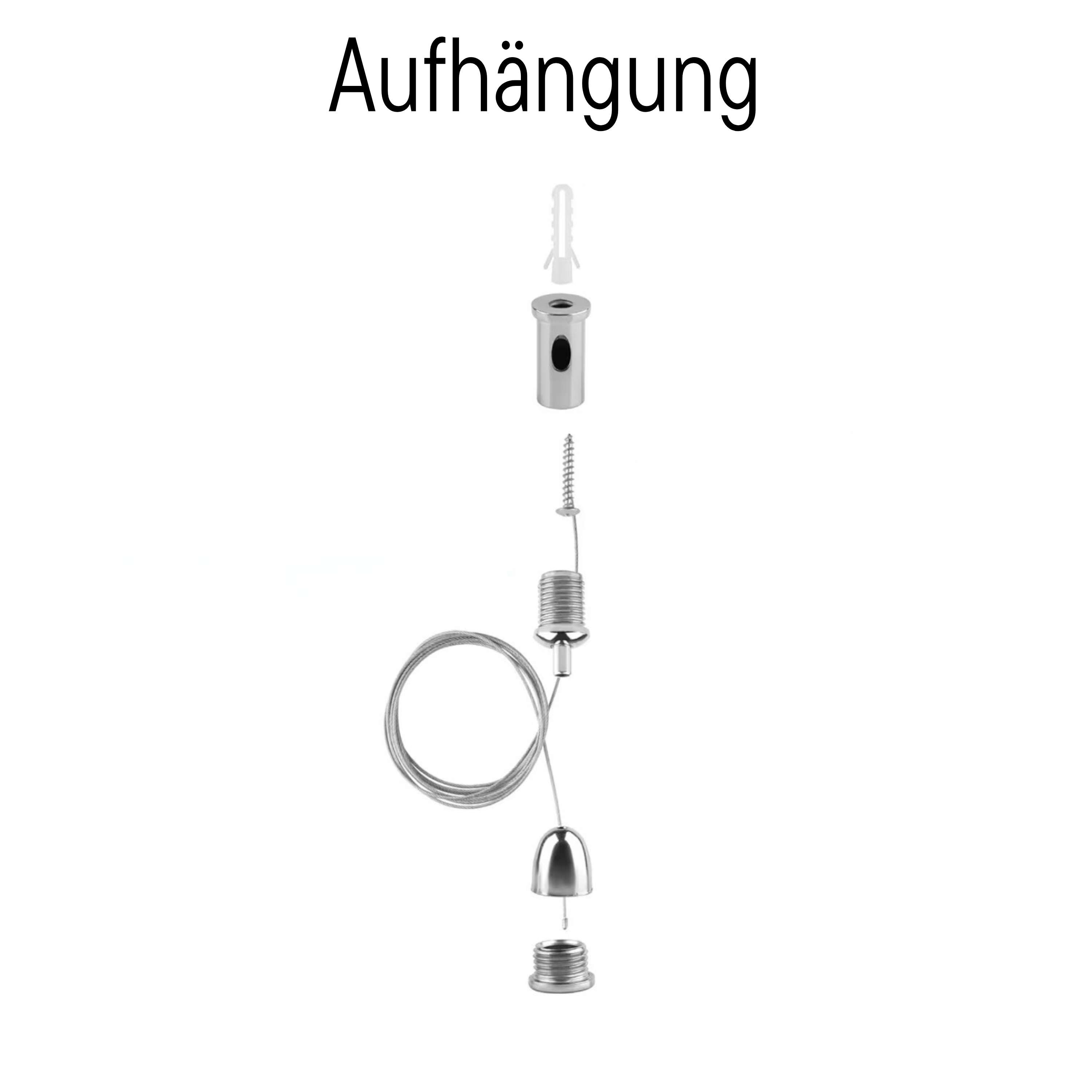 Mooskugel aus Islandmoos für natürliche Wandgestaltung