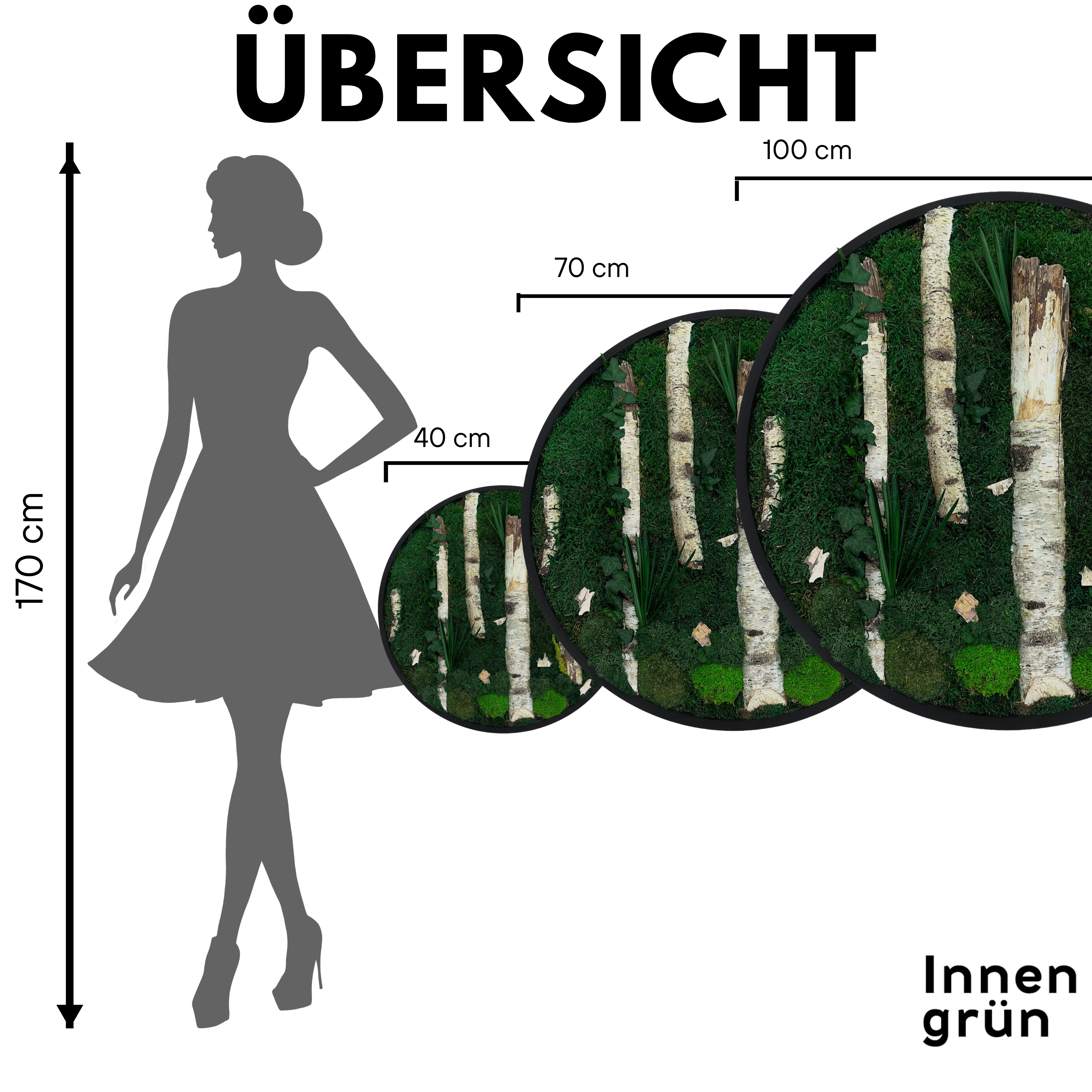 Mooskreis Birkengeflüster mit Rahmen